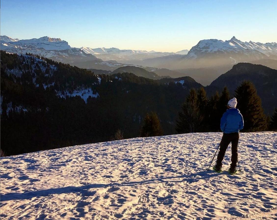 Micro-Lodge, Le Petit Nid D'Amour Montriond Kültér fotó