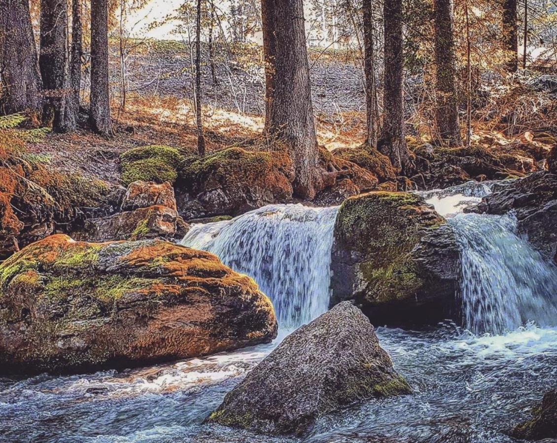 Micro-Lodge, Le Petit Nid D'Amour Montriond Kültér fotó