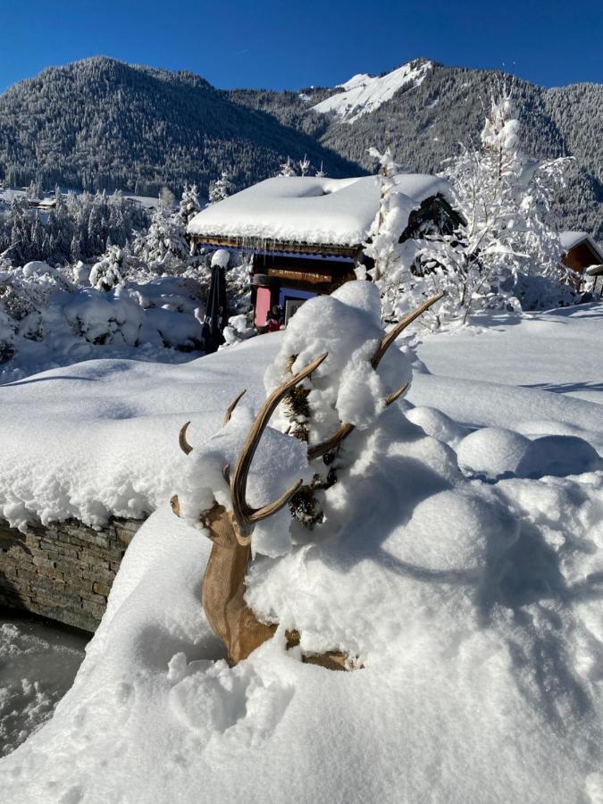 Micro-Lodge, Le Petit Nid D'Amour Montriond Kültér fotó