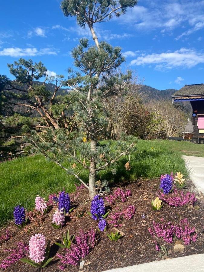 Micro-Lodge, Le Petit Nid D'Amour Montriond Kültér fotó