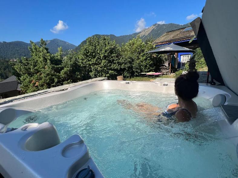 Micro-Lodge, Le Petit Nid D'Amour Montriond Kültér fotó