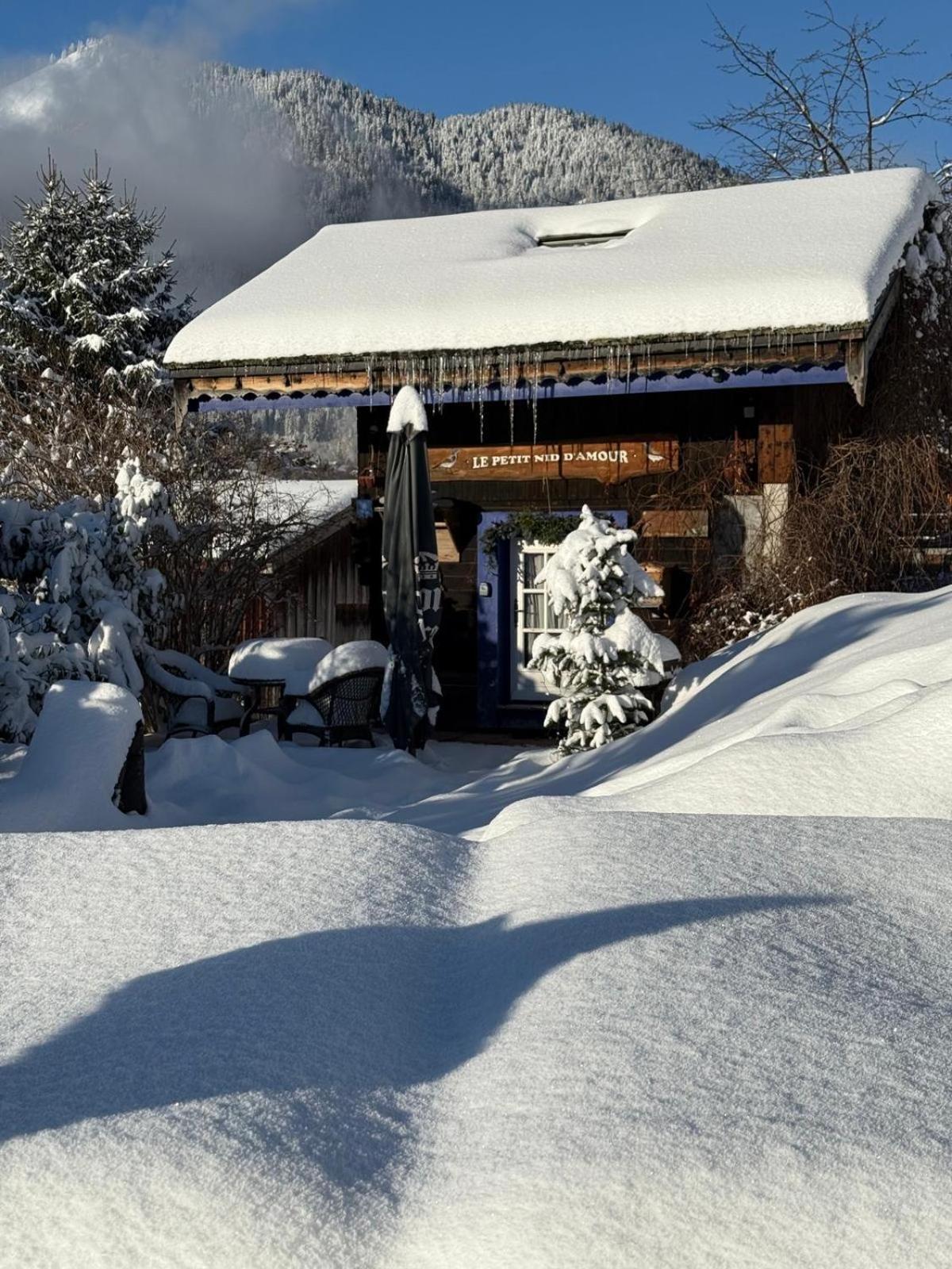 Micro-Lodge, Le Petit Nid D'Amour Montriond Kültér fotó