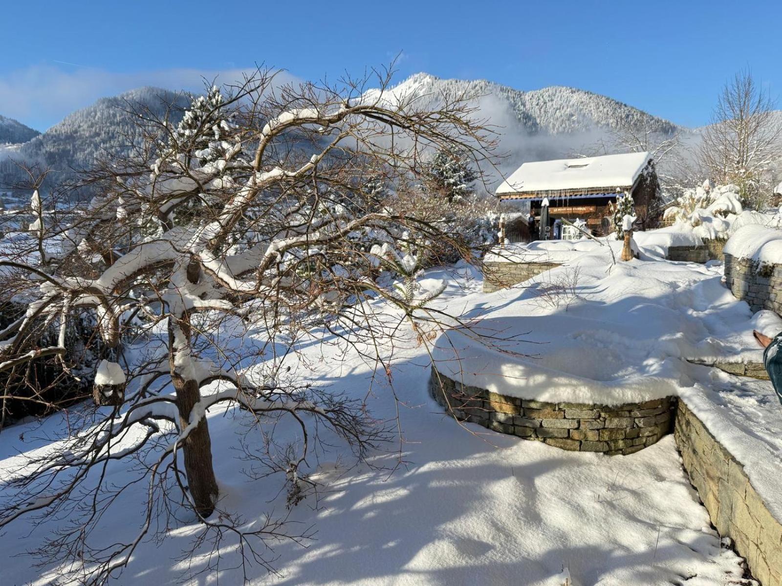 Micro-Lodge, Le Petit Nid D'Amour Montriond Kültér fotó