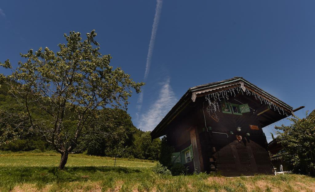 Micro-Lodge, Le Petit Nid D'Amour Montriond Kültér fotó