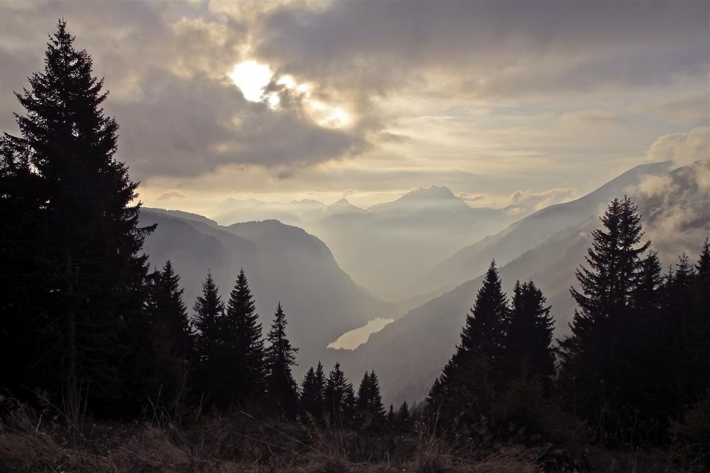 Micro-Lodge, Le Petit Nid D'Amour Montriond Szoba fotó