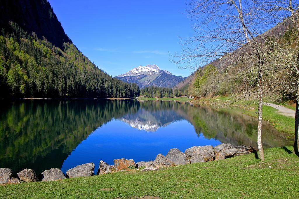 Micro-Lodge, Le Petit Nid D'Amour Montriond Kültér fotó