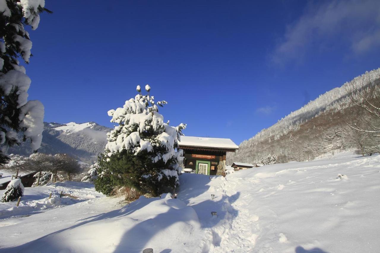 Micro-Lodge, Le Petit Nid D'Amour Montriond Kültér fotó